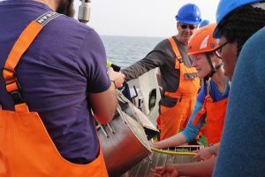 Probenahme mit Studenten der Coastal Summer School 2017 an Bord des Forschungsschiffs ELISABETH MANN BORGESE in der L&uuml;becker Bucht.