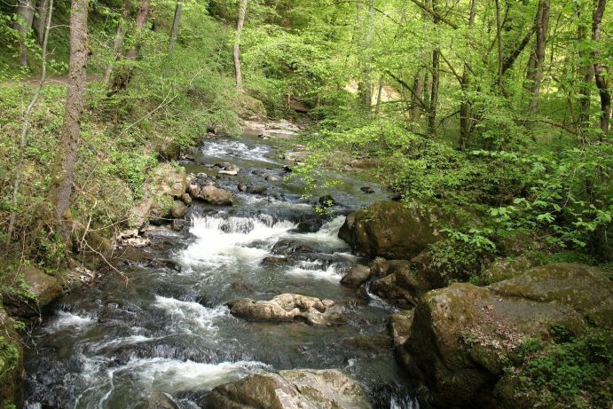 Mit dem Förderschwerpunkt "Nachhaltiges Wassermanagement" (NaWaM) fördert das BMBF die Entwicklung innovativer Technologien, Verfahren und Systemlösungen für eine nachhaltige Bewirtschaftung der Ressource Wasser. NaWaM bündelt die Aktivitäten des BMBF im Bereich der Wasserforschung innerhalb des BMBF-Rahmenprogramms "Forschung für nachhaltige Entwicklungen" FONA. Der Förderschwerpunkt gliedert sich in fünf Themenfelder „Wasser und Energie”,&nbsp;„Wasser und Gesundheit”, „Wasser und Ernährung”, „Wasser und Umwelt” und „Wasser in urbanen Räumen”. Die Forschungsfragen innerhalb der Themenfelder werden in Form themenspezifischer BMBF-Förderrichtlinien bearbeitet und bekannt gegeben. Ziel ist es, Schlüsseltechnologien fachübergreifend und in Zusammenarbeit mit der Industrie zu entwickeln, an sich ändernde Randbedingungen anzupassen und international zu verbreiten. Das BMBF strebt ausdrücklich eine führende Beteiligung von Industrieunternehmen – insbesondere Kleinen und Mittelständischen Unternehmen – in Verbundprojekten an. Hierdurch soll die internationale Spitzenposition Deutschlands im Leitmarkt der „Wassertechnologie” ausgebaut&nbsp; werden.