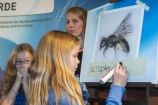 Der Wildbienenwettbewerb: Der Name der Gewinnerbiene Bildbeschreibung: Das "Wissenschaftsjahr 2012 – Zukunftsprojekt Erde" hatte zum Wettbewerb aufgerufen: Gesucht war das originellste Wildbienenhotel. Von Mai bis Ende August konnten Fotos von selbstgebauten Nistplätzen für Wildbienen eingesendet werden. Am 20. Oktober 2012 fand die Preisverleihung des Wettbewerbs zum Wildbienenprojekt "Erst bauen, dann schauen" statt. Die Tierpark-AG des Gymnasiums Nordhorn durfte die in Südafrika aufgespürte Spezies benennen: Mit ihrem selbstgebauten Wildbienenhotel hatten die Schülerinnen und Schüler aus Niedersachsen den Hauptpreis des Wettbewerbs „Erst bauen, dann schauen“ gewonnen. Sichtlich stolz notierten die Gymnasiastinnen in großen Buchstaben den von ihnen gewählten Namen (Scrapter exiguus). Sie hatten ihn mithilfe von Lateinlehrerin und Biobüchern gefunden: „exiguus“ bedeutet „winzig“. FONA war inhaltlicher Kooperationspartner des Wissenschaftsjahrs 2012.