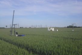 Measurement of the exchange of CO2 and water vapor between a field and the atmosphere.