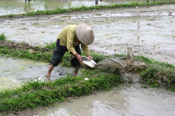 Im Rahmen des Projektes INOWAS werden
innovative lnstrumente entwickelt, die ein nachhaltiges Management der Wasserressourcen in Schwellenländern ermöglichen.