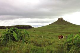 Monitoring Site of the project RuralFutures at the Cerro Batoví in Uruguay.