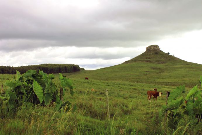 Monitoring Site of the project RuralFutures at the Cerro Batoví in Uruguay.