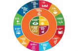 Beziehungen der SDG im Themenfeld "Erneuerbare Energie zur stofflichen Nutzung von CO2" Am 9. und 10. Mai 2017 diskutierten mehr als 500 Expertinnen und Experten auf dem 13. Forum für Nachhaltigkeit des Bundesministeriums für Bildung und Forschung (BMBF) die Umsetzung der globalen Nachhaltigkeitsziele. Unter dem Motto "Was tun mit der Agenda 2030!" thematisierte die Konferenz die Umsetzung der 17 Ziele (Sustainable Development Goals – SDG) der Vereinten Nationen.
In den Workshops ging es darum, die wichtigsten Konflikte und Synergien für die Umsetzung der Nachhaltigkeitsziele zu identifizieren und erste Handlungsempfehlungen zu entwickeln. Im Workshop "W1: Erneuerbare Energie zur stofflichen Nutzung von CO2" standen die SDG 7, 8, 12 und 13 im Fokus der Diskussion.