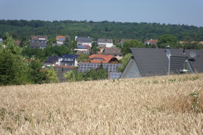 Bepflanzen oder bebauen?