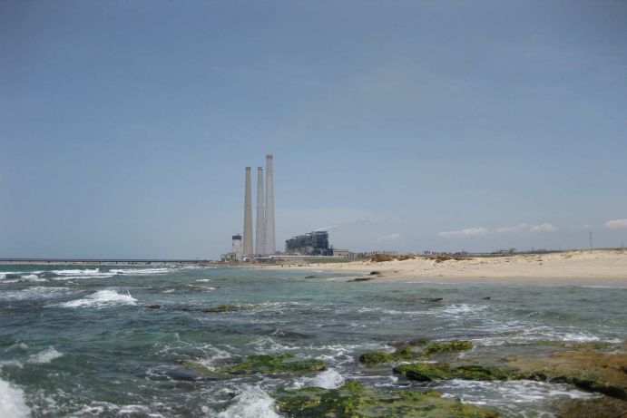 Die Felsgesteine vor dem Kraftwerk in Hadera (Israel) bilden den Lebensraum der Foraminiferen. Sie k&ouml;nnen auch bei extremen Temperaturen &ndash; verursacht durch einen Warmwassereinfluss vom Kraftwerk &ndash; &uuml;berleben.