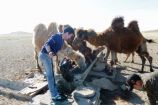 Das Projekt „Klimaschocks in der Mongolei“ untersucht die Auswirkungen von extremen Wetterereignissen aus der Mikroperspektive von Haushalten. Dazu erhebt das Projekt eine Längsschnitt-Haushaltsbefragung unter 1750 Familien in der westlichen Mongolei.  Mit dem Forschungsschwerpunkt „Ökonomie des Klimawandels“ verfolgt das BMBF das Ziel, Kosten, Risiken und Chancen des Klimawandels besser abzuschätzen. Damit werden die Entscheidungsgrundlagen in Politik, Wirtschaft und Gesellschaft verbessert. Derzeit werden in 27 Projekten unterschiedliche Modelle entwickelt und Szenarien bewertet.  Das Projekt wird in der aktuellen Ausgabe von Perspektive Erde "Neue Perspektiven für die Klimapolitik" vorgestellt.