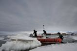 AWI-Forschungstaucher auf Spitzbergen Forschungstaucher des Zentrums für wissenschaftliches Tauchen am Alfred-Wegener-Institut unterstützen die Wissenschaftler an der AWIPEV-Forschungsbasis bei ihren Projekten: Sie sammeln Tiere und Pflanzen für biologische Untersuchungen, nehmen geologische Proben, kartieren den Meeresboden oder setzen Messgeräte unter Wasser ein. Ort: Ny-Ålesund, Spitzbergen (2010).