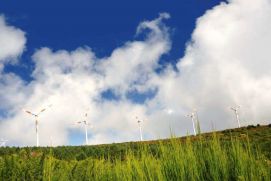 Eolic turbines - Paul de Serra, Madeira