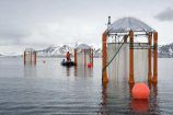 BIOACID - Verankerte KOSMOS Mesokosmen im schwedischen Gullmarfjord Für das Langzeit-Experiment zur Ozeanversauerung werden zehn KOSMOS Mesokosmen im schwedischen Gullmarfjord verankert. Das Experiment fand im Rahmen des Konsortiums 1 "Pelalgische Ökosysteme" statt, einem Teilprojekt von BIOACID. Dieses untersucht ökologische, biogeochemische und evolutionäre Reaktionen von pelalgischen Ökosystemen unter Ozeanversauerung. Hintergrund des Langzeit-Experiments war die Frage, wie komplexe Lebensgemeinschaften auf Ozeanversauerung reagieren und ob sie sich über längere Zeiträume an die neuen Umweltbedingungen anpassen können. Weitere Informationen zum Experiment finden Sie hier. Das Projekt BIOACID II wird innerhalb der Meeresforschung über das BMBF-Rahmenprogramm Forschung für Nachhaltige Entwicklungen (FONA) gefördert. Die zweite Phase läuft seit September 2012 für drei Jahre und wird vom GEOMAR Helmholtz-Zentrum für Ozeanforschung Kiel koordiniert. Das Projekt erforscht die Ozeanversauerung, die sich laut aktuellem wissenschaftlichem Stand eine ernsthafte Bedrohung für Meeresorganismen und –ökosysteme entwickeln kann. Ziel ist es die Kette von biologischen Mechanismen, über Reaktionen von Organismen, zu deren Auswirkungen auf Nahrungsnetze und Ökosysteme, bis hin zu den ökonomischen Konsequenzen zu erfassen und besser zu verstehen. Mehr Informationen zum Projekt finden Sie hier und unter http://www.bioacid.de/