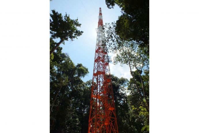 Das Bild zeigt den Standort des Turms im Regenwald vom Erdboden aufwärts. Dieser befindet sich in einem nahezu vom Menschen unberührten Naturschutzgebiet, etwa 150km von Manaus,Brasilien, entfernt.ATTO ist Teil eines vom BMBF gemeinsam mit dem&nbsp;brasilianischen Forschungsministerium MCTI finanzierten Forschungsprojekts, das zukünftig einen wichtigen Beitrag zum Verständnis der mit dem Klimawandel zusammenhängenden chemischen und physikalischen Vorgänge in der Atmosphäre leisten soll.Der mehr als 300 Meter hohe Messturm soll dabei die Lücke schließen zwischen verbreitet genutzten Flussmesstürmen und Satelliten gestützter Datenerfassung verschiedener Treibhausgase wie CO2, CH4, CO, N2O, O3 sowie reaktiver Spurengase und Aerosolpartikeln. ATTO soll Schlüsselinformationen liefern zum Verständnis der Zusammenhänge zwischen biogenen Spurengasemissionen und Chemie und Physik der Atmosphäre.Weitere Informationen zum Projekt ATTO finden Sie in der aktuellen Ausgabe von Perspektive Erde.