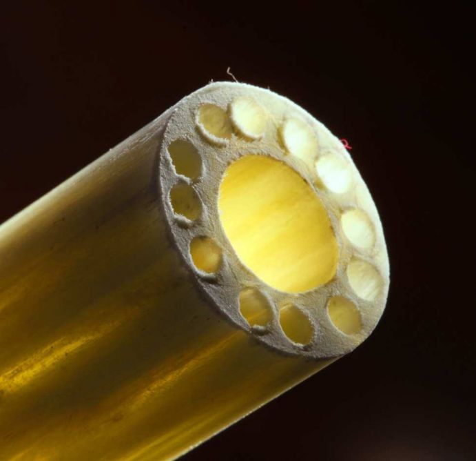 Geflochtene Pultrusionsstruktur nach biologischen Vorbild des Winterschachtelhalms Geflochtene Pultrusionsstruktur nach biologischen Vorbild des Winterschachtelhalms
