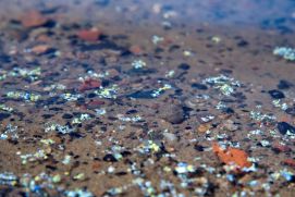 Research project wants to detect microplastic in the water more accurately