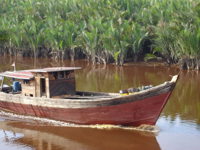 Tropenfluss in Südostasien - Projekt CISKA Projekt „CISKA - Kohlenstoffspeicherung in der indonesischen See und deren Bedeutung im globalen Kohlenstoffkreislauf“ aus der WTZ Indonesien. Das Projekt ist Teil des Programms "SPICE - Science for the Protection of Indonesian Coastal Marine Ecosystems", welches zum Schutz der indonesischen Küstenökosysteme beiträgt.