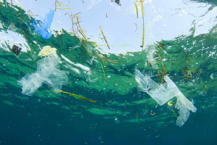 Plastikteile, die bis zu neunzig Prozent des M&uuml;lls in Meeren und an Str&auml;nden ausmachen, belasten die marine Flora und Fauna.