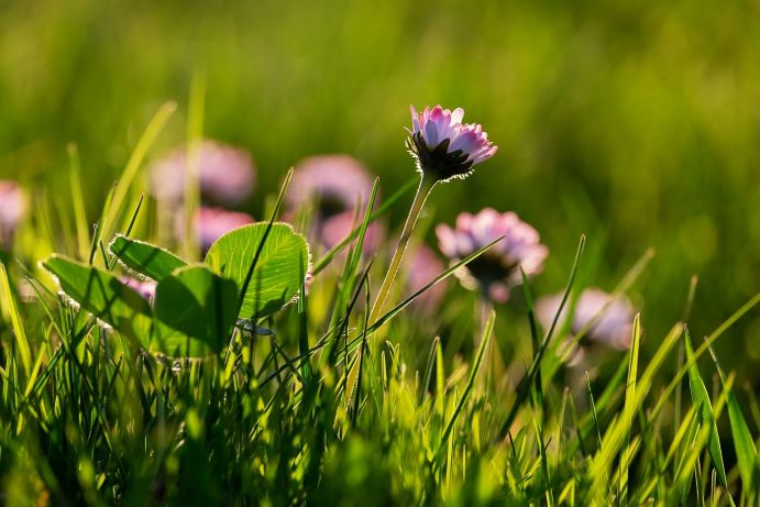 Durch den anhaltenden Biodiversitätsverlust ist die Bereitstellung von Leistungen der Ökosysteme, die dem Menschen zugutekommen, bedroht. Durch den anhaltenden Biodiversitätsverlust ist die Bereitstellung von Leistungen der Ökosysteme, die dem Menschen zugutekommen, bedroht.