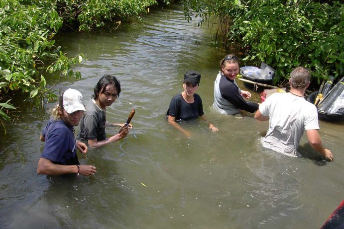 Ein deutsch-indonesisches Team von Studenten und Technikern bahnt sich zur Mangrovenbeprobung bei Hochwasser einen Weg durch einen Tidenkanal.