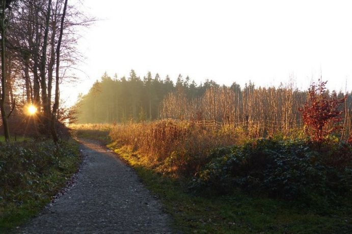 Weg im Sonnenaufgang