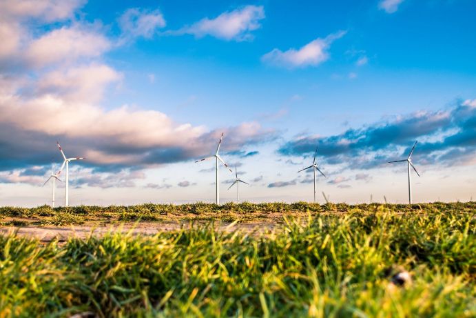 Windr&auml;der auf einer Wiese.