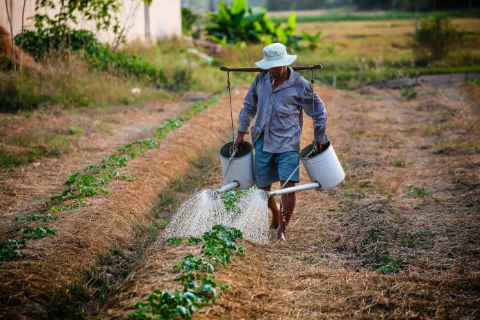 Farmer waters land.