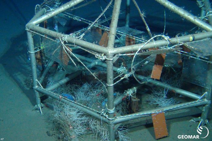 Scientists from the Alfred Wegener Institute studied the species that colonize the Arctic deep sea. To do so, an underwater robot took samples and pictures of colonisation platforms attached to steel frames over a period of 18 years.