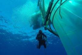 A diver next to a mesocosm off the coast of Gran Canaria.