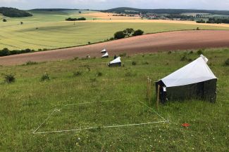 Das Projekt DINA untersucht die Artenvielfalt von Insekten und die Ursachen des Insektenrückgangs in Naturschutzgebieten.