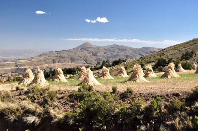 Kultur- und Naturlandschaft in Bolivien.