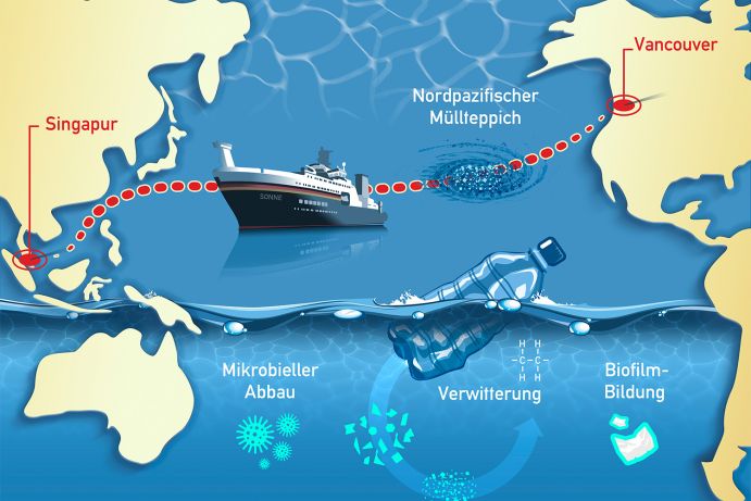 Eine Grafik die die Route des Forschungsschiffes SONNE über den Pazifik anzeigt.