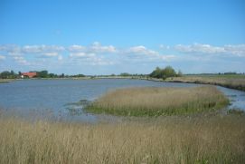 Das Projekt RUINS untersucht, welche Unsicherheiten es bei der Gestaltung und Nutzung von Poldern sowie anderer Anpassungsmaßnahmen im niedrigliegenden Küstenland gibt (wie hier in der Krummhörn, Ostfriesland).