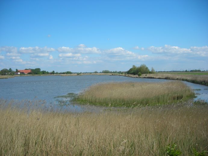 Das Projekt RUINS untersucht, welche Unsicherheiten es bei der Gestaltung und Nutzung von Poldern sowie anderer Anpassungsmaßnahmen im niedrigliegenden Küstenland gibt (wie hier in der Krummhörn, Ostfriesland). Das Projekt RUINS untersucht, welche Unsicherheiten es bei der Gestaltung und Nutzung von Poldern sowie anderer Anpassungsmaßnahmen im niedrigliegenden Küstenland gibt (wie hier in der Krummhörn, Ostfriesland).