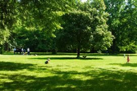 The Friedenspark in Leipzig is a grown, old park with a large stock of old, grown trees.