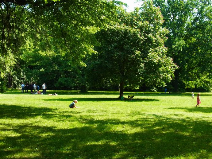 The Friedenspark in Leipzig is a grown, old park with a large stock of old, grown trees.