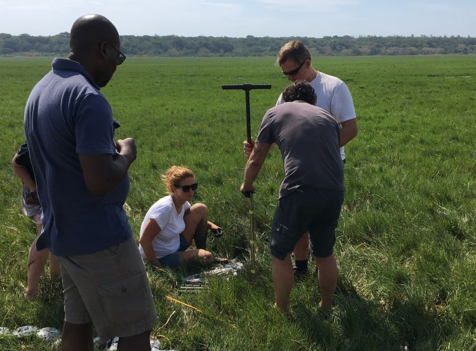 Ein Wissenschaftlerteam entnimmt Sedimentproben im Schwemmfächer des Mkuze-Flusses in Südafrika Wissenschaftler entnehmen Sedimentproben