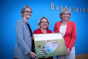 Die drei Bundesministerinnen für Forschung, Umwelt und Landwirtschaft, Karliczek, Schulze, Klöckner bei der Bundespressekonferenz zum "Aktionsprogramm Insektenschutz".