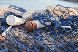 Mehrere Teile Plastik die am Strand angespühlt worden. 