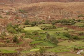 Landwirtschaftlich geprägtes Tal im mittleren Atlasgebirge in der Fés-Meknès-Region, Marokko.