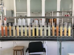 Suspensionen von Böden unter landwirtschaftlichen Kulturen in Zentralmarokko, École nationale d'agriculture de Meknès. Suspensionen von Böden unter landwirtschaftlichen Kulturen in Zentralmarokko, École nationale d'agriculture de Meknès.
