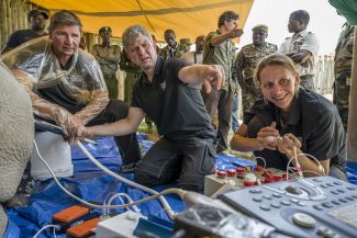 Das Team des Projekts BioRescue bei der Eizellentnahme.