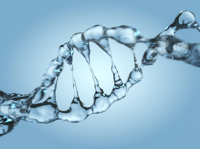 Nahaufnahme einer diagonalen Wasser-DNA-Doppelhelix: 3D Modell