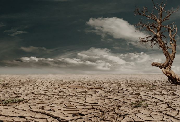 Die Potenziale des Wassersektors für die Klimaziele noch stärker zu nutzen und klimabedingte Wasserrisiken zu reduzieren, gehört zu den Schwerpunkten der BMBF-Wasserforschung Ein kahler Baum steht in einer ausgetrockneten Wüstenlandschaft