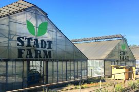 Produktionsstätten von Stadtfarm in Berlin als Beispiel für Urbane Produktion; Urbane Produktion ist ein Fokusthema innerhalb der BMBF-Zukunftsstadtforschung; Urbane Produktion ist das erste Thema der Publikationsreihe „Fokus*Z“ des Begleitvorhabens Synver*Z ( Synthese und Vernetzung Zukunftsstadt); Berlin, 2019