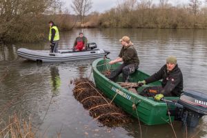 Menschen versenken vom Boot aus Totholzbündel in einen Baggersee, die als Ersatzhabitate von Fischen, Insektenlarven und anderen Wassertieren genutzt werden.