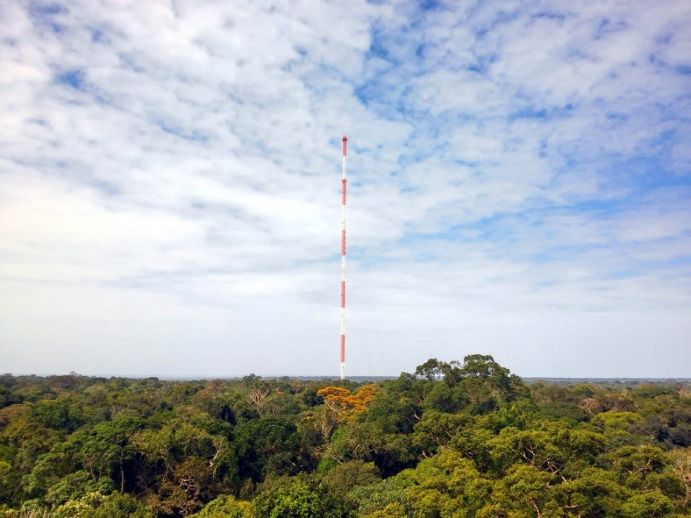 Der 325 Meter hohe ATTO-Turm wurde vor fünf Jahren offiziell eingeweiht