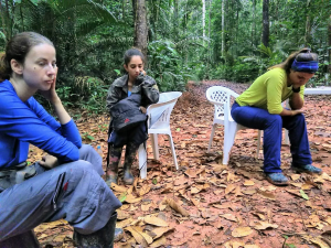 Tag der Tropenwälder - drei Forscherinnen sitzen betrübt im Regenwald auf Stühlen.