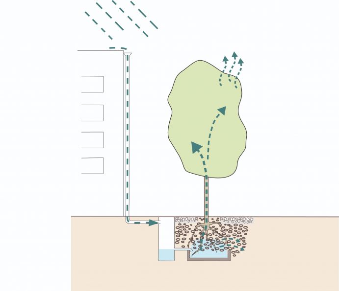 Klimabäume in Hamburg-Harburg Im Rahmen des Forschungsprojektes „BlueGreenStreets“ wurden im Frühjahr 2020 in der Hölertwiete in Hamburg-Harburg erste Baumrigolen gebaut. Regenwasser von benachbarten Dächern wird den Baumgruben über einen Speicherschacht zugeführt. In der Baumgrubensohle wird eine dichtende Schicht eingebracht, wodurch etwa 1.000 l Wasser für Trockenzeiten gespeichert werden können. Um Aussagen zur Funktionalität hinsichtlich Regenwasserversickerung und Baumvitalität zu treffen, wird kontinuierlich die Wasser- und Luftverfügbarkeit in verschiedenen Tiefen im Boden gemessen.