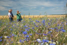 Drei Menschen besichtigen ein Feld in Brandenburg.