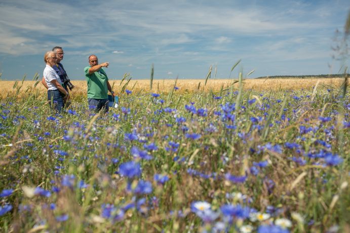 Projektbeteiligte besichtigen gemeinsam die Fläche eines zertifizierten Pilotprojekts in Brandenburg. Drei Menschen besichtigen ein Feld in Brandenburg.