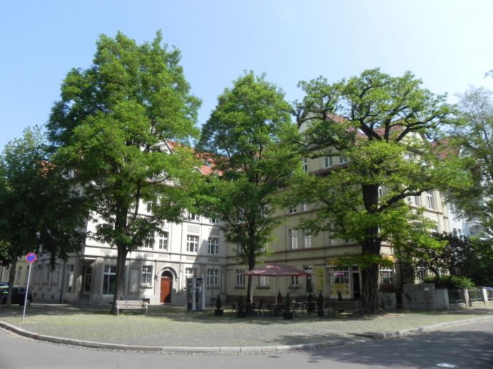 Stadtbäume reduzieren nicht nur die Hitzebelastung im Freien, sondern beeinflussen auch die Temperatur in Gebäuden. Große Bäume werfen Schatten auf Gebäude.
