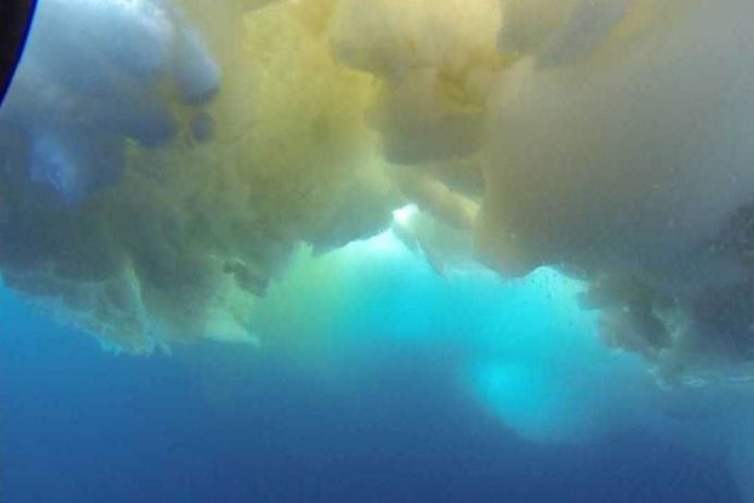 Brüchiges Meereis: Ein deutsch-britisches Forscherteam untersucht im Projekt Eco-Light, wie sich die Eisschmelze auf das Lichtklima im Arktischen Ozean auswirkt. Brüchiges Meereis im Arktischen Ozean